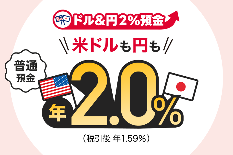�h�����~2���a�� �ăh�����~�� ���ʗa�� �����N2.0���i�ň��� �N1.59���j