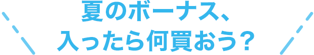 �Ẵ{�[�i�X�A�������牽�������H