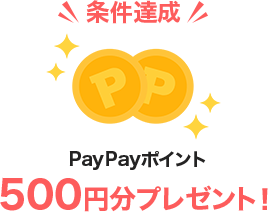 B PayPay|Cg500~v[gI