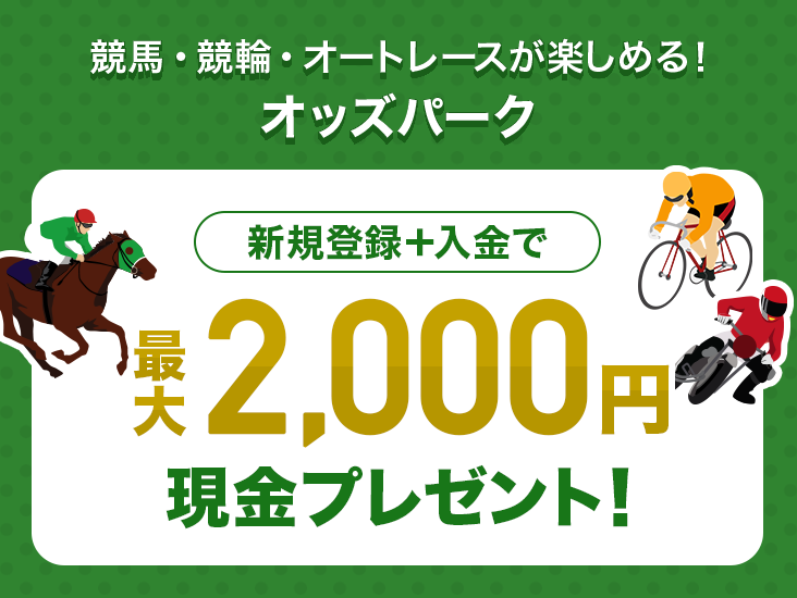 最大2,000円もらえる／オッズパーク新規登録キャンペーン - PayPay銀行