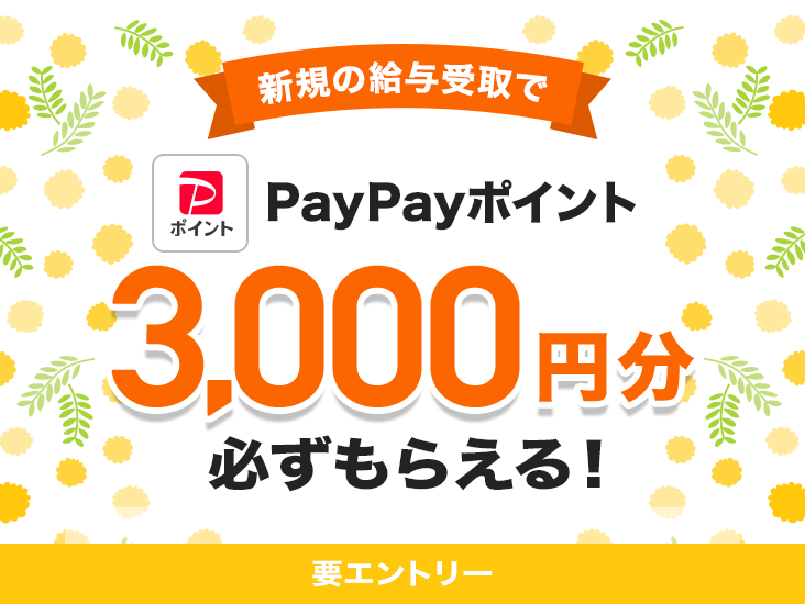 VK̋^PayPay|Cg3,000~K炦I vGg[