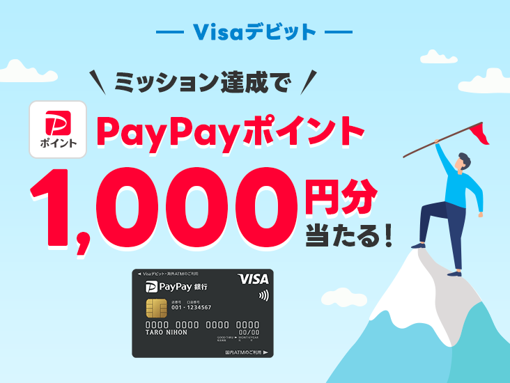 Visafrbg ~bVBPayPay|Cg1,000~I