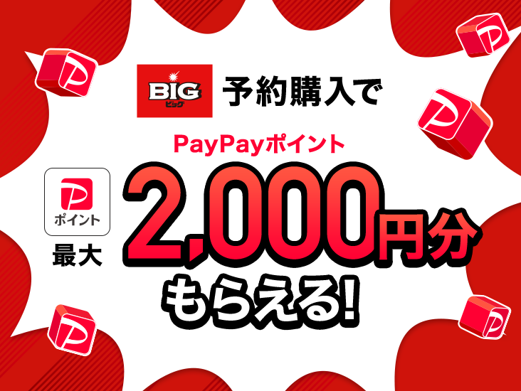 BIG\wPayPay|Cgő2,000~炦I