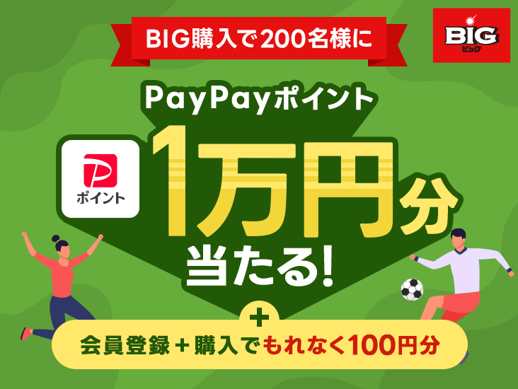 1万円分のPayPayポイント当たる！BIGキャンペーン - PayPay銀行