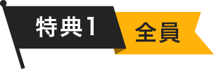 T1 S