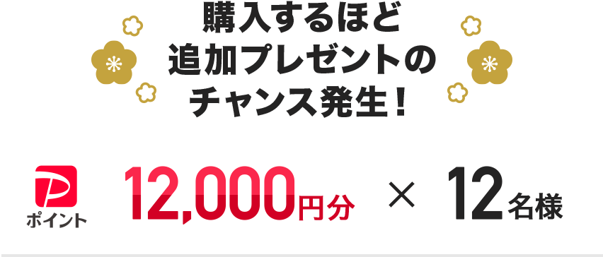 �w������قǒǉ��v���[���g�̃`�����X�����I PayPay�|�C���g12,000�~���~12���l