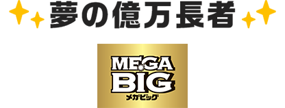 ���̉������� MEGA BIG